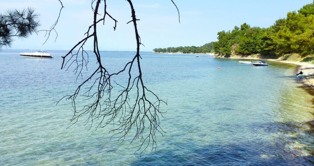 Villa Lily Skala Rachoni  Exteriör bild